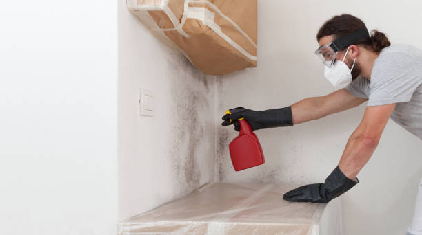 Professional Mold Cleanup technician working in Keasbey, NJ