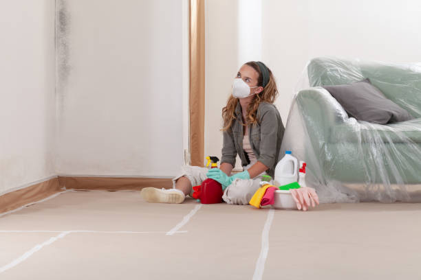 Reliable Mold Cleanup contractor in Keasbey, NJ by Cheap Mold Removal